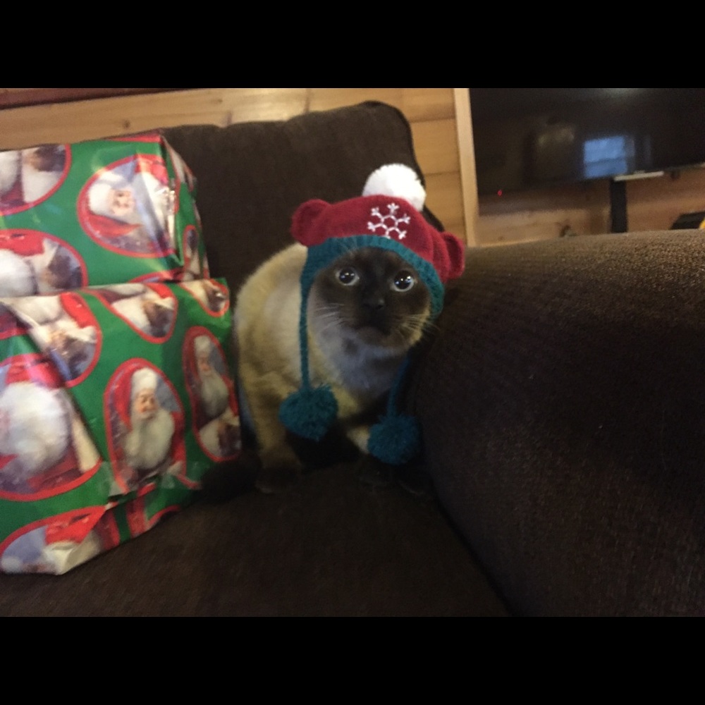 Meet your Posher, Natalie